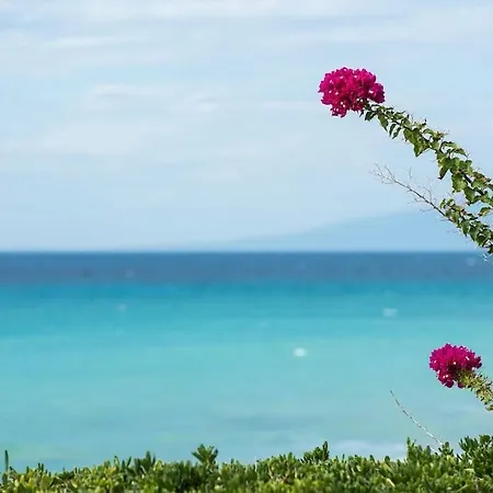 Agnanti Seafront Nea Skioni